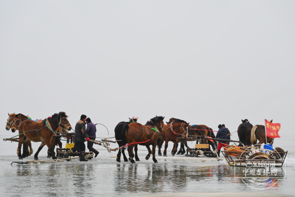 mmexport1766138036594.jpg mmexport1766138036594.jpg